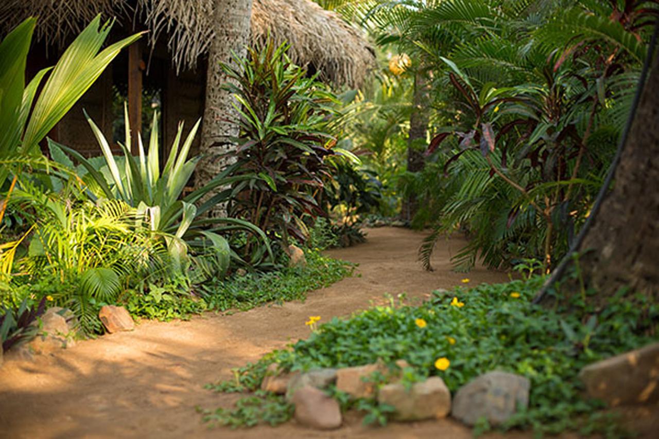 فندق Agonda White Sand المظهر الخارجي الصورة